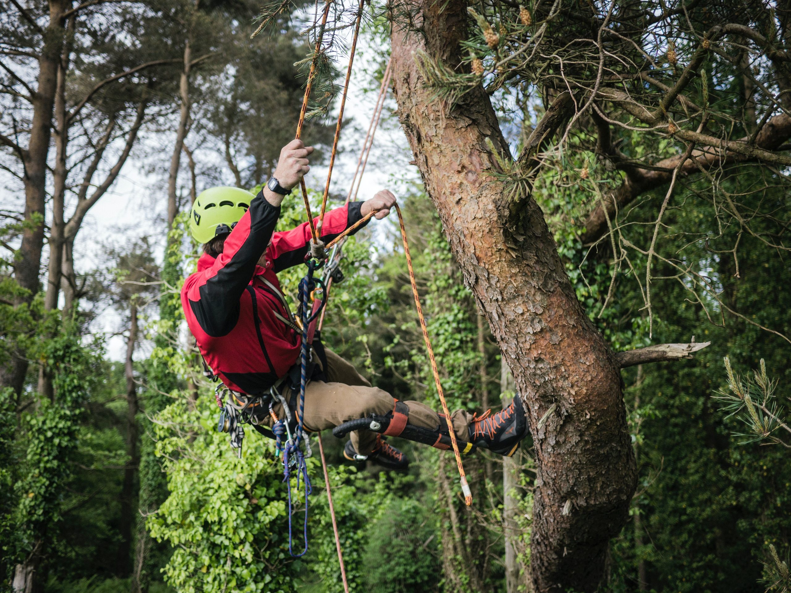 A Beginner's Guide to the Different Types of Arborist Rope - Harkie Global