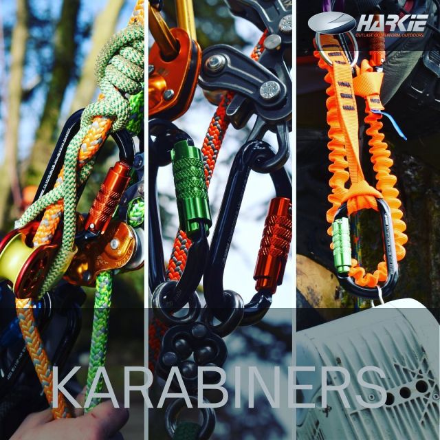 Harkie karabiners come in a variety of vibrant colours 🌈  Orange 🍊 
Green 💚
Purple ☔️
Blue 🦋  …allowing for easy identification for organisational purposes, such as a specific colour for a particular item of equipment.  #harkie #harkieglobal #rope #arblife #arboriculture #arbgear #climbing #treesurgeon #arboristsofinstagram #arborist #forestry #treeclimber #treesurgery #treecare #karabiner