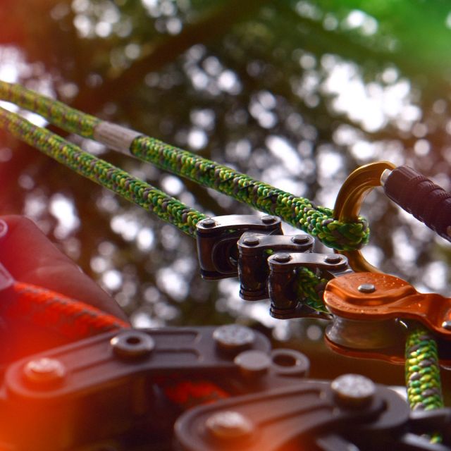 Have a great weekend everyone 😎✨  🔗 Hit the link in our bio to browse through our climbing gear  #harkie #harkieglobal #rope #arblife #arboriculture #arbgear #climbing #treesurgeon #arboristsofinstagram #arborist #forestry #treesurgery #climbingarborist #arboristgear