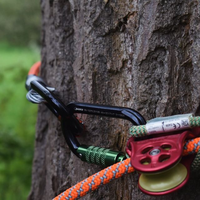 If you’re looking for shiny new climbing equipment, check out the durable, strong & sleek Trojan 11.7mm climbing rope & our selection of vibrant karabiners ✨😎  🔗 Check them out now by hitting the link in our bio  #harkie #harkieglobal #rope #arblife #arboriculture #arbgear #climbing #treesurgeon #arboristsofinstagram #arborist #forestry #treesurgery #climbingarborist #arboristgear #karabiner #carabiner