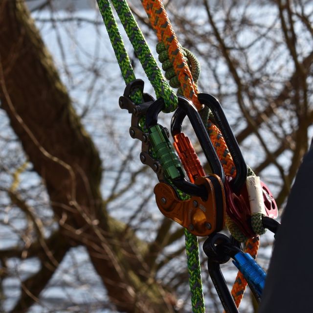 From sleek climbing ropes to durable karabiners, check out our range of arb climbing equipment.  🤩🌳  🔗 Hit the link in our bio to find out more  #harkie #harkieglobal #harkiesmock #rope #arblife #arboriculture #arbgear #climbing #treesurgeon #arboristsofinstagram #arborist #forestry #treesurgery #climbingarborist #arboristgear #waterproof #waterproofclothing #ppe