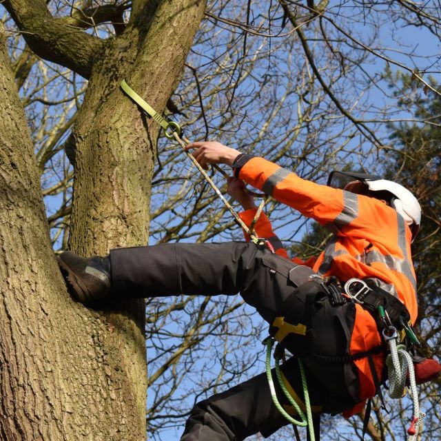The Innovation II has remained a firm favourite, made from RainBlok fabric, which provides class 4:4 breathability and waterproofness.  It is extremely durable, lightweight and does the job all year round🌦️  🔗 Compare with our other waterproof smocks in our range by hitting the link in our bio.  #harkie #harkieglobal #arborist #arboristsofinstagram #arboriculture #forestry #treesurgeon #treesurgery #treeclimber #treecutting #climbing #treecare #outdoorlifestyle #arbgear #arblife #outdoorclothing #waterproof #waterproofclothing