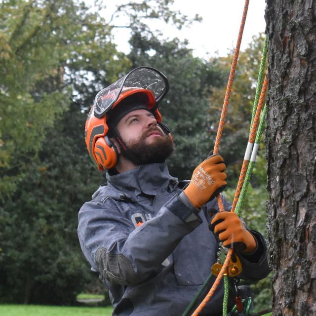 April showers are no problem when you're wearing a DEFIANCE waterproof 🌦️  🔗Click the link in our bio to find your local dealer  #harkie #harkieglobal #rope #arborist #arboristsofinstagram #arboriculture #forestry #treesurgeon #treesurgery #treeclimber #treecutting #climbing #treecare #outdoorlifestyle #arbgear #arblife #outdoorclothing #waterproof #waterproofclothing