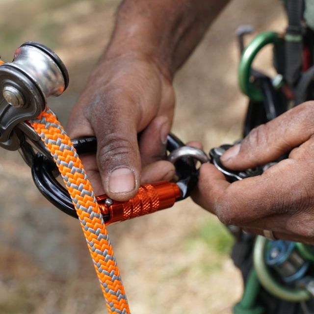 Harkie karabiners are durable, long-lasting and available in two styles - HMS and Oval.

Available in orange, green, purple or blue. Sold individually on in 4 packs.

🔗 Hit the link in our bio for more information

#harkie #harkieglobal #rope #arborist #arboristsofinstagram #arboriculture #forestry #treesurgeon #treesurgery #treeclimber #treecutting #climbing #treecare #outdoorlifestyle #arbgear #arblife #karabiner #carabiner