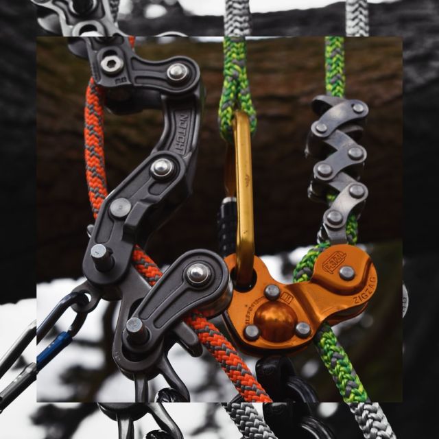 Our climbing ropes work perfectly with your favourite devices 🧡💚

🔗 Hit the link in our bio for more information 

#harkie #harkieglobal #rope #arblife #arboriculture #arbgear #climbing #treesurgeon #arboristsofinstagram #arborist #forestry #treeclimber #treeremoval #treepeople #outdoorlifestyle