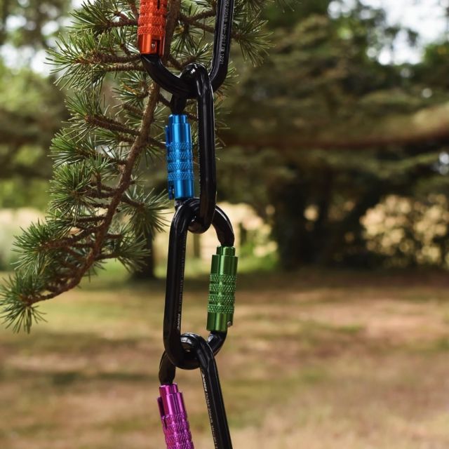 Harkie karabiners. Perfect for colour coding different ops 🟠🟣🔵🟢

🔗 Hit the link in our bio for more information 

#harkie #harkieglobal #karabiner #carabiner #arblife #arboriculture #arbgear #climbing #treesurgeon #arboristsofinstagram #arborist #forestry #treeclimber #treesurgery #treecare #treeremoval #treepeople #outdoorlifestyle