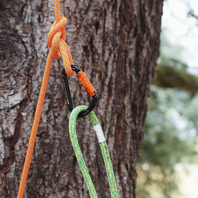Whatever your requirements, the Trojan 11.7mm (24 strand) & Warrior 12.0mm (16 strand) work well with all your favourite devices 💚✨🧡

🔗 Find out more by clicking the link in our bio 

#harkie #harkieglobal #rope #arblife #arboriculture #arbgear #climbing #treesurgeon #arboristsofinstagram #arborist #forestry #treeclimber #treesurgery #treecare #treeremoval #treepeople #outdoorlifestyle #karabiner #carabiner