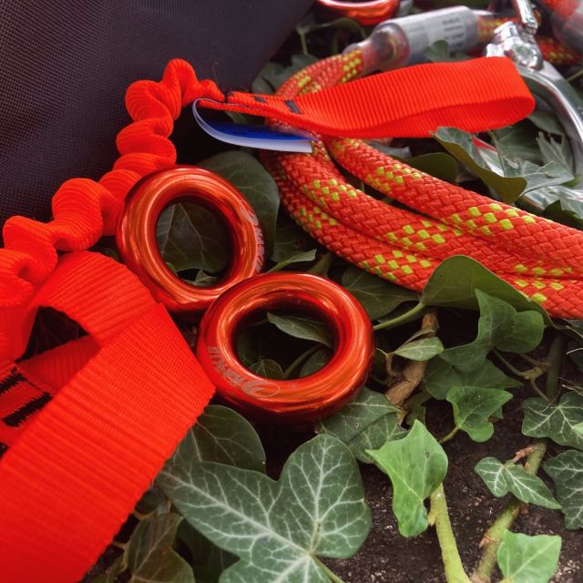 At Harkie we sell a wide range of durable climbing gear 🧡💪

🔗 For climbing equipment such as fliplines & tool strops click on the link in our bio 

#harkie #harkieglobal #rope #arblife #arboriculture #arbgear #climbing #treesurgeon #arboristsofinstagram #arborist #forestry #treeclimber #treesurgery #treecare #treeremoval #treepeople #outdoorlifestyle