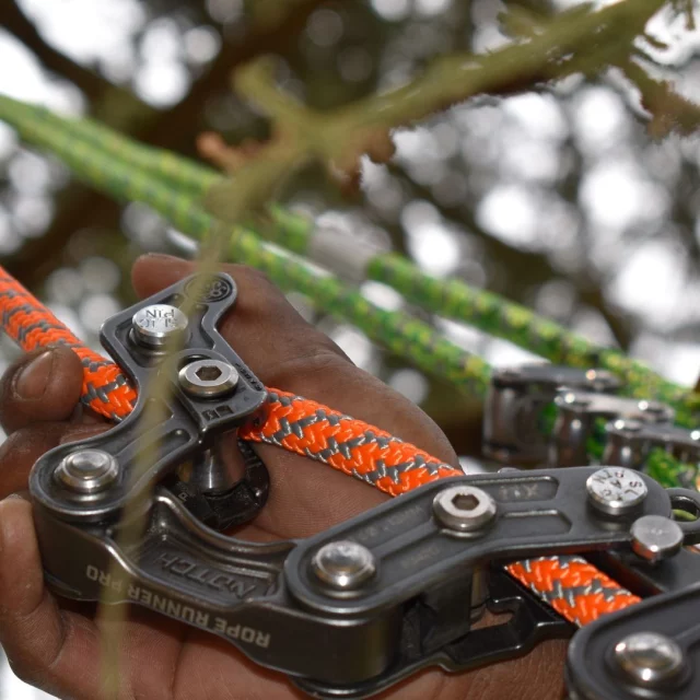 If you're after a climbing rope that works well with most common devices, check out the sleek & smooth Trojan 11.7mm.

Available in orange or lime

🧡💚

🔗 Hit the link in the bio for more information

#harkie #harkieglobal #rope #arborist #arboristsofinstagram #arboriculture #forestry #treesurgeon #treesurgery #treeclimber #treecutting #climbing #treecare #outdoorlifestyle #arbgear #arblife