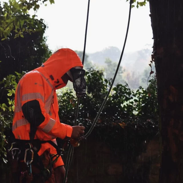 Defeat the storms with a DEFIANCE ⛈️👌

Keeping you nice & dry, whatever the weather

🔗 Click on the link in the bio for a full list of features

 #harkie #harkieglobal #harkiesmock #arblife #arboriculture #arbgear #climbing #treesurgeon #arboristsofinstagram #arborist #forestry #treesurgery #climbingarborist #arboristgear #waterproof #waterproofclothing #ppe