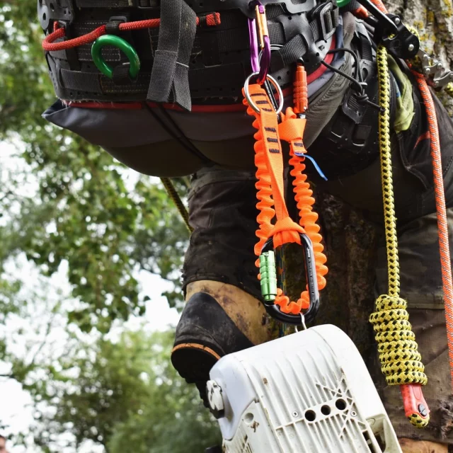 Keep yourself & your chainsaw safe with this elasticated tool strap 🧡🪚

- 1.3m long
- Safe working load of 30kg

🔗 Hit the link in our bio for more information 

#harkie #harkieglobal #arblife #arboriculture #arbgear #climbing #treesurgeon #arboristsofinstagram #arborist #forestry #treesurgery #climbingarborist #arboristgear #toolstrop