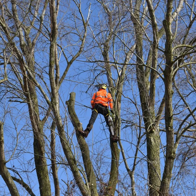 Harkie smocks are also extremely durable, able to withstand the heavy wear & tear of everyday use 💪

🔗 Browse through our range of waterproof smocks & jackets by clicking on the link in our bio 

#harkie #harkieglobal #harkiesmock #arblife #arboriculture #arbgear #climbing #treesurgeon #arboristsofinstagram #arborist #forestry #treesurgery #climbingarborist #arboristgear #waterproof #waterproofclothing #ppe