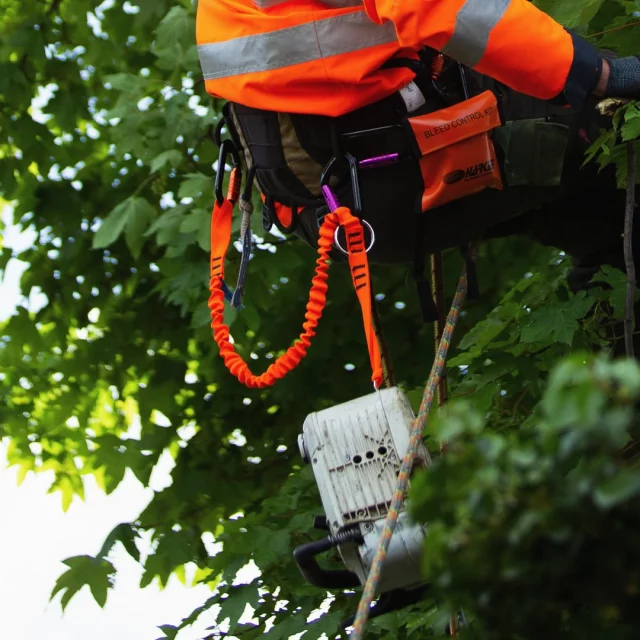 Check out our range of strong & durable tool strops, like this bungee one 🧡

🔗 Hit the link in our bio for more information 

#harkie #harkieglobal #arblife #arboriculture #arbgear #climbing #treesurgeon #arboristsofinstagram #arborist #forestry #treesurgery #climbingarborist #arboristgear