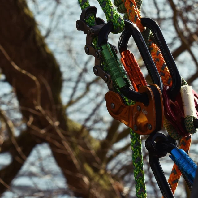 Bling up your kit with a durable Harkie karabiner.

Available in 4 vibrant colours 🧡💜💙💚

🔗 Click on the link in our bio for more information 

#harkie #harkieglobal #arblife #arboriculture #arbgear #climbing #treesurgeon #arboristsofinstagram #arborist #forestry #treeclimber #treesurgery #treecare #treeremoval #treepeople #outdoorlifestyle